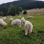 Skalniak 3* Lądek-Zdrój