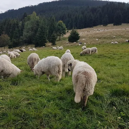 Skalniak 3* Lądek-Zdrój