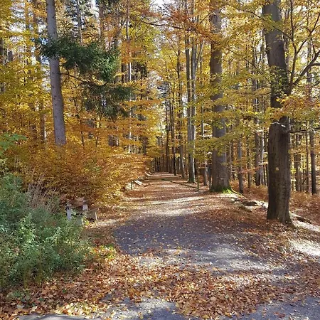 Bed & Breakfast Skalniak Ladek-Zdroj