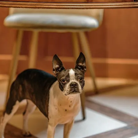 Bed & Breakfast Skalniak 3*