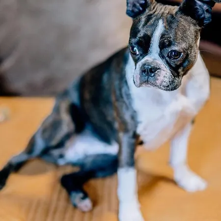 Bed & Breakfast Skalniak 3*