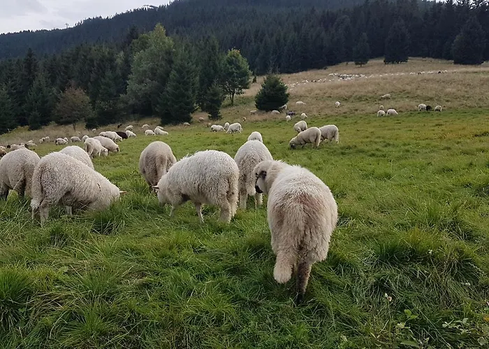 Skalniak 3* Lądek-Zdrój