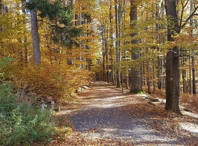 Bed & Breakfast Skalniak Lądek-Zdrój