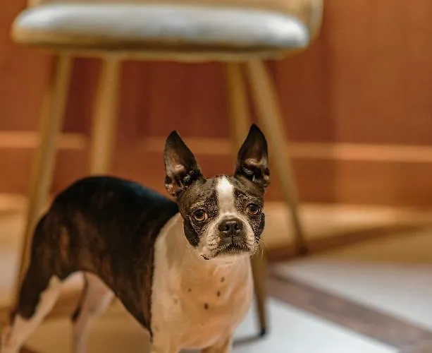 Bed & Breakfast Skalniak 3*